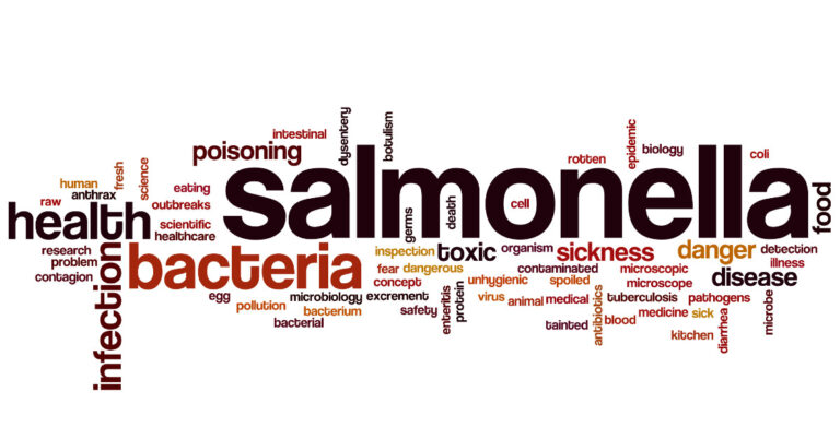 Salmonella Outbreak graphic and text