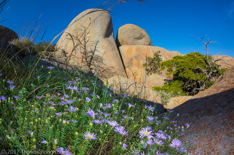 Narrow Trails at Wichita Mountains