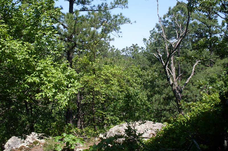 Potapo Hill Trail at McGee Creek