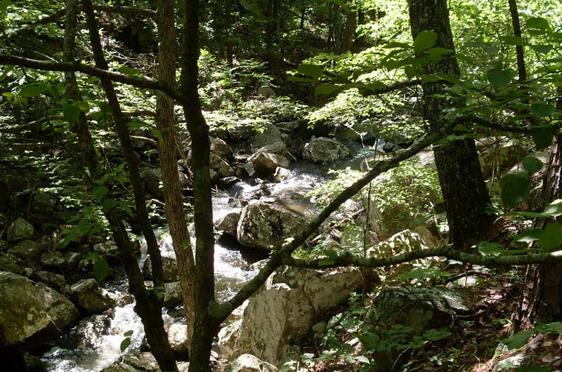 South Rim Trail at McGee Creek