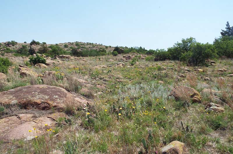 Oklahoma's 11 Best Hiking Trails Oklahoma Daily News