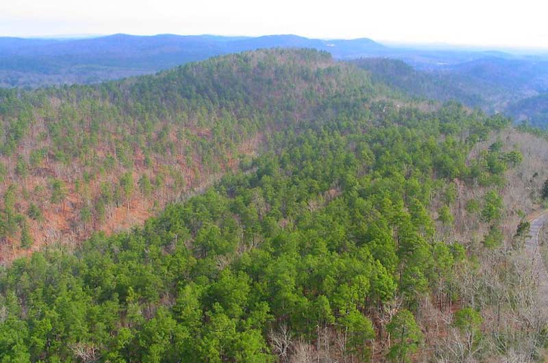 Ouachita National Recreational Trail