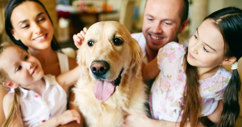 family petting dog