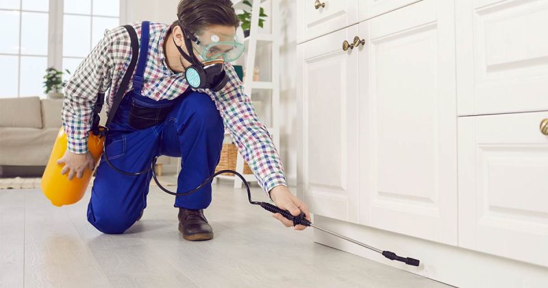 exterminator spraying for pests in home